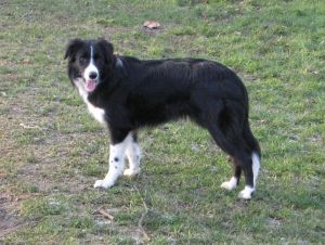 300Kopie von Img_1975.jpg